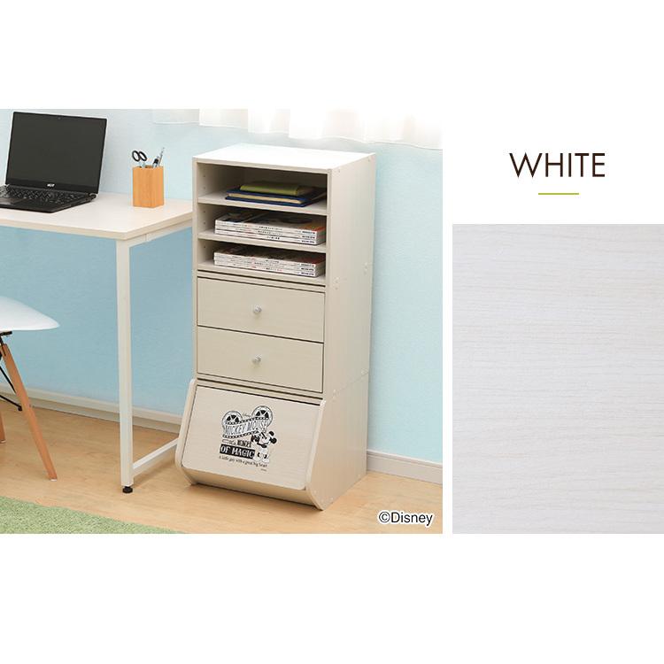 IRIS OHYAMA（アイリスオーヤマ） カラーボックス 収納 扉 おしゃれ