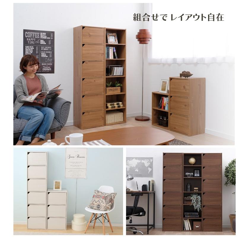 IRIS OHYAMA カラーボックス 収納 扉 扉付き 収納ボックス 収納 IRIS OHYAMA カラーボックス 収納 扉 扉付き 収納ボックス 収納