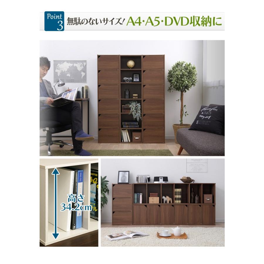 IRIS OHYAMA（アイリスオーヤマ） カラーボックス 収納 扉 扉付き 収納