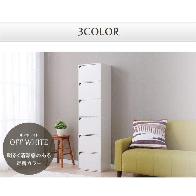 IRIS OHYAMA カラーボックス 収納 扉 扉付き 収納ボックス 収納