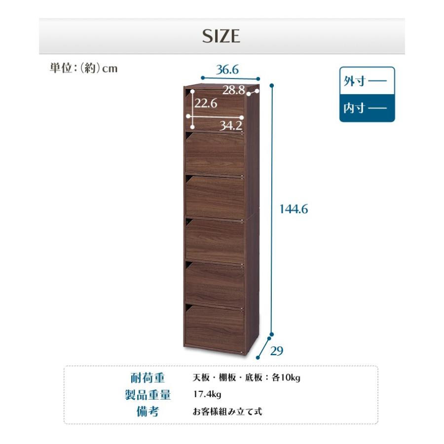 IRIS OHYAMA（アイリスオーヤマ） カラーボックス 収納 扉 扉付き 収納