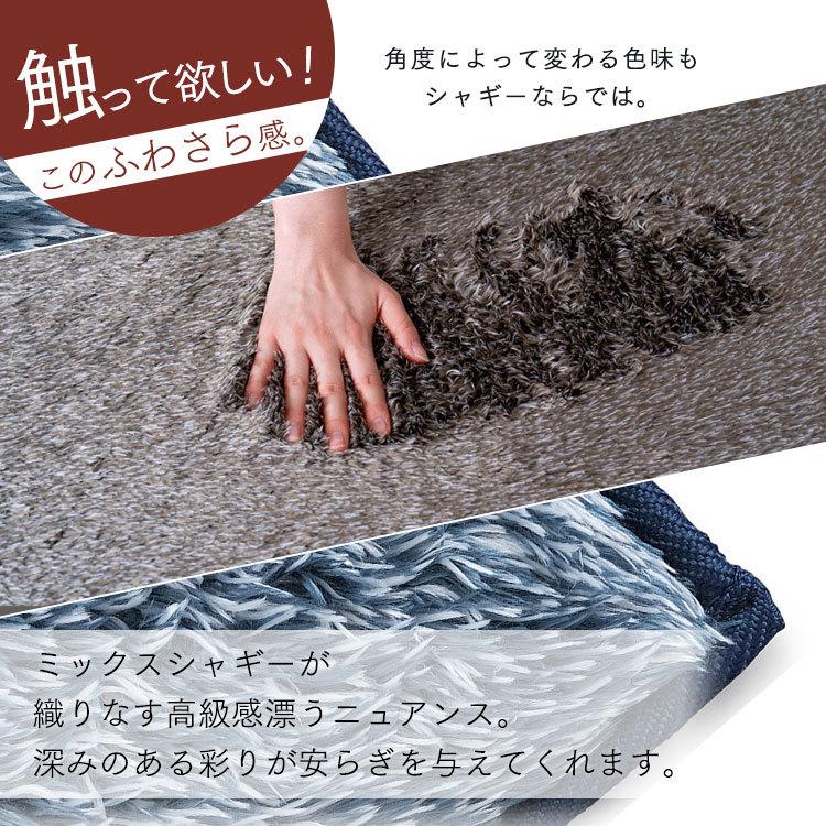 IRIS OHYAMA（アイリスオーヤマ） ラグ ラグマット おしゃれ 厚手 2畳