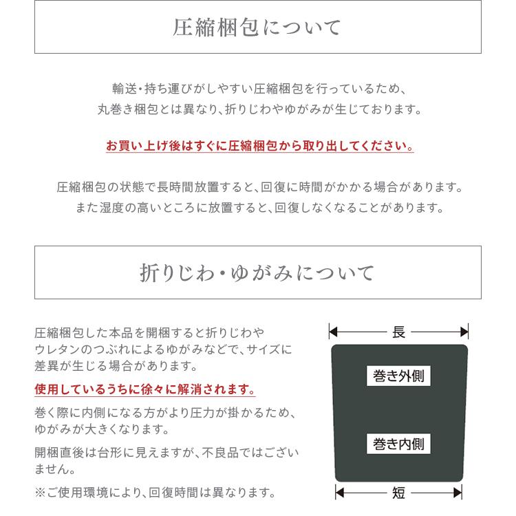 ラグ 厚手 3畳 ラグマット おしゃれ シャギーラグ カーペット 防ダニ 185×240 ACRS-1824 アイリスオーヤマ 一人暮らし 新生活_19