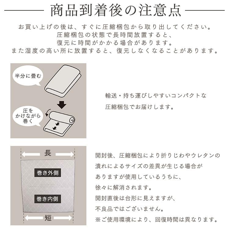 ラグ 3畳 厚手 3cm 185×240cm カーペット ホットカーペット 対応 滑り止め付 ジャガード ラクッションラグ ACRJ-1824E アイリスオーヤマ * | IRIS OHYAMA | 21