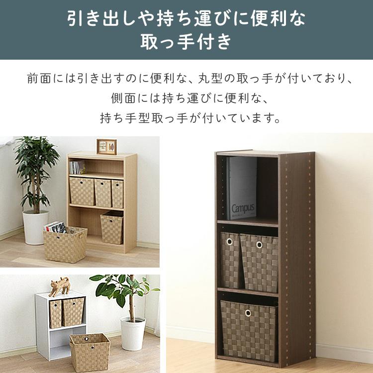 IRIS OHYAMA（アイリスオーヤマ） 収納ケース カラーボックス 収納