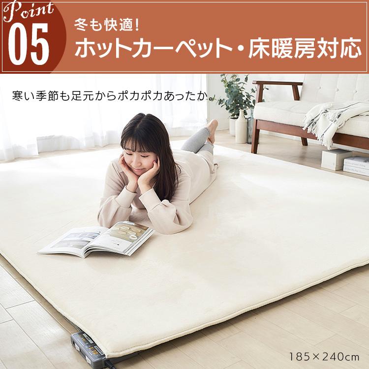 IRIS OHYAMA（アイリスオーヤマ） ラグ 厚手 北欧 高反発 おしゃれ 極
