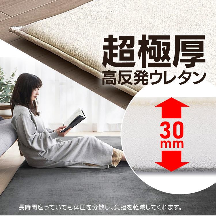 IRIS OHYAMA（アイリスオーヤマ） ラグ 厚手 北欧 高反発 おしゃれ 極