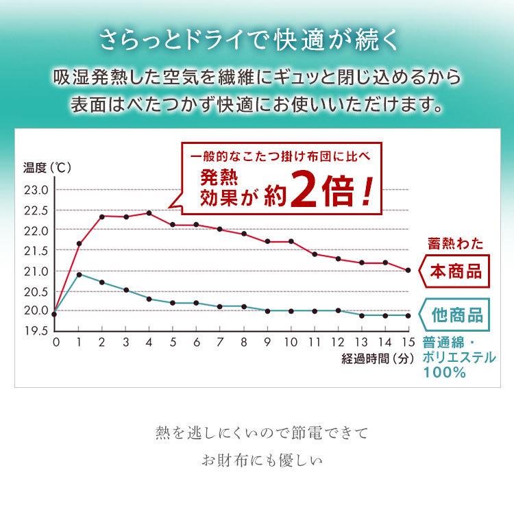 こたつ布団 長方形 おしゃれ こたつ 敷布団 こたつ敷布団 布団 KSBA-2419 アイリスオーヤマ [HT]｜inskagu-y｜09