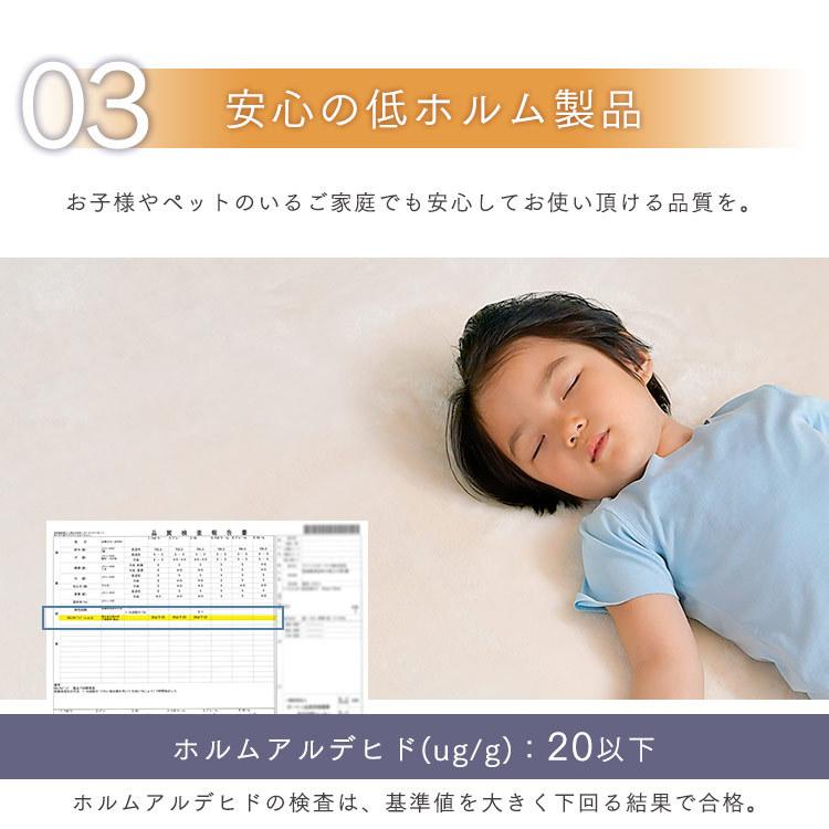 ラグ カーペット ラグマット 3畳 厚手 北欧 おしゃれ 低反発 ウレタン 185×240 極厚 ラクッションラグ CRTE-1824 アイリスオーヤマ * | IRIS OHYAMA | 10