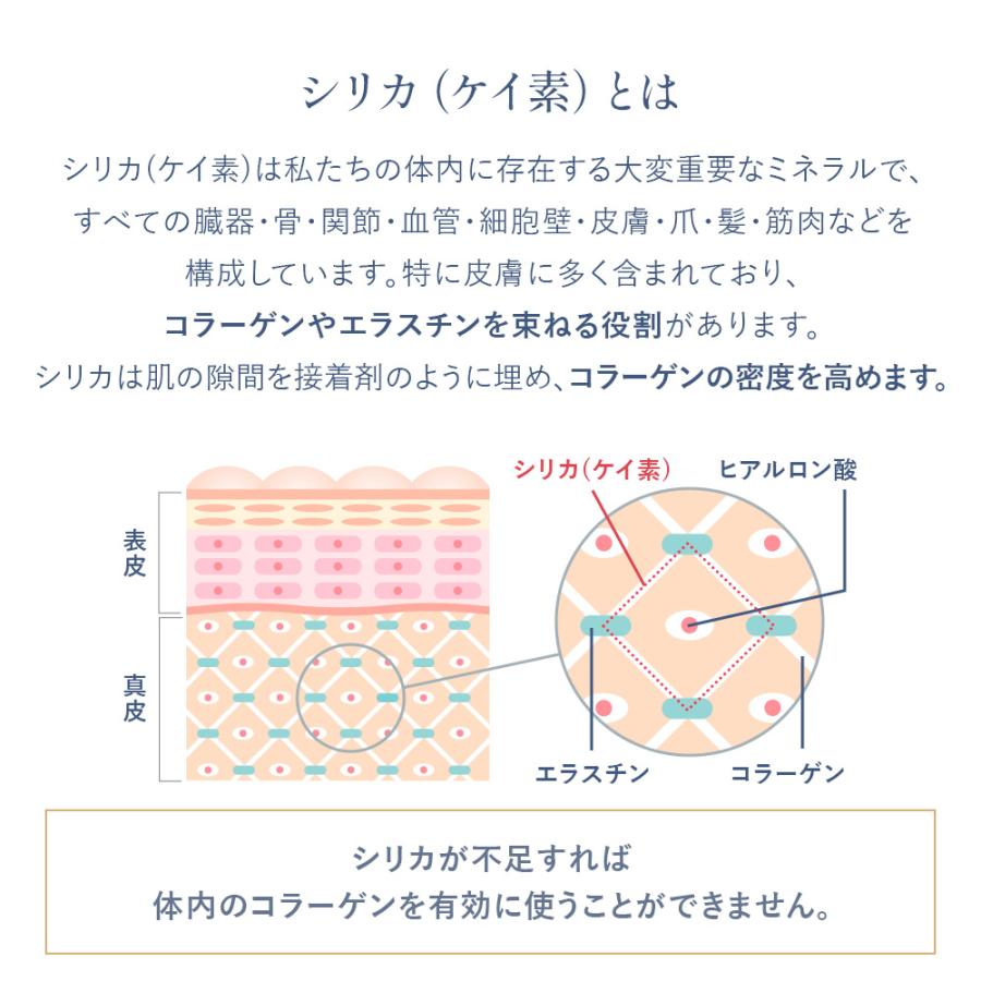 【3本セットで\2,000OFF!!】究極インナーケア＆デトックス！水に混ぜるだけでシリカ水が作れる植物性シリカ濃縮液【HO】スキンケア コラーゲン シリカ ケイ素 |  | 08