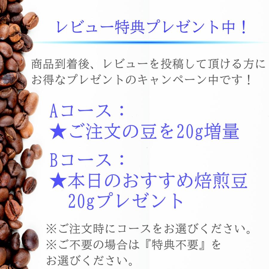 水出し専用珈琲 コールドブリュー 450g 響き奏で コーヒー 送料無料 珈琲 |  | 05