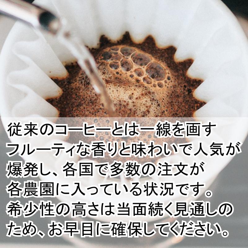 コーヒー生豆 ゲイシャ エチオピア グジプレミアム 700g 焙煎 珈琲
