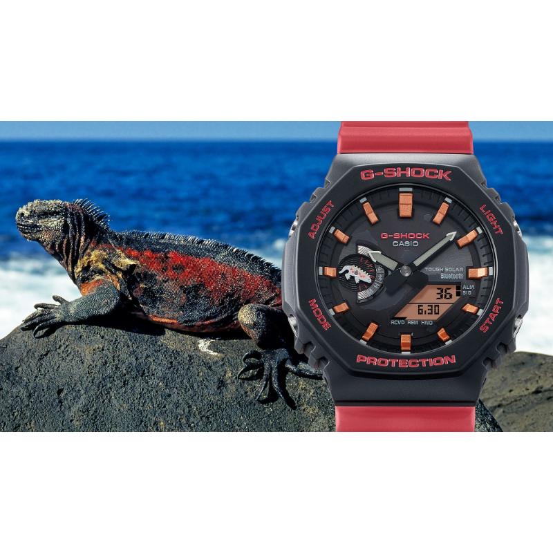 G-SHOCK Gショック ダーウィン財団コラボ 限定 ガラパゴスウミイグアナ