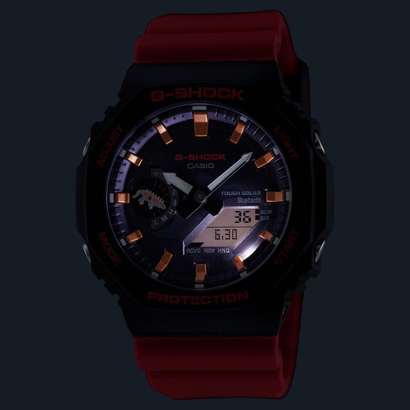 G-SHOCK Gショック ダーウィン財団コラボ 限定 ガラパゴスウミイグアナ