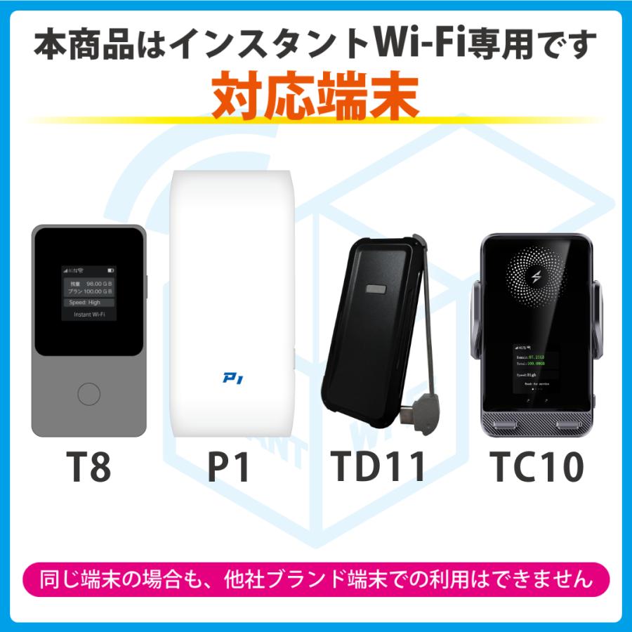 インスタントWi-Fi 追加データ】 100GB 有効期間365日 データ通信