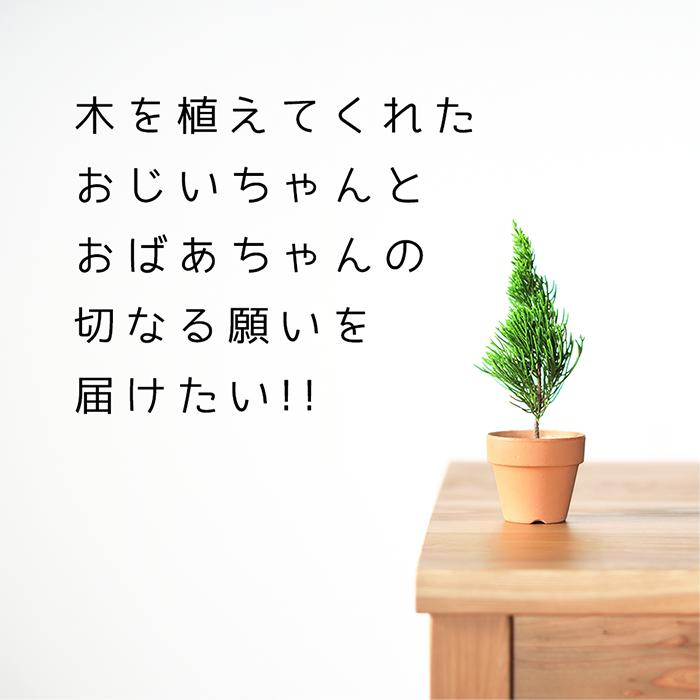 レスキューテーブル 4人掛け 120×72 国産杉 無垢材 天然木 ダイニング