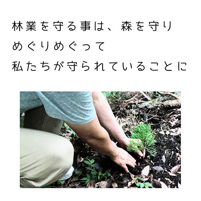 レスキューテーブル 4人掛け 120×72 国産杉 無垢材 天然木 ダイニング