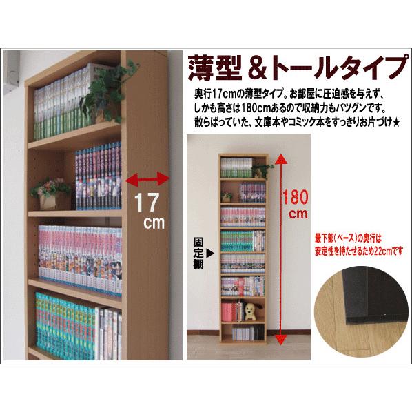 収納 本棚 書棚『薄型 コミック ＤＶＤ ＣＤ 文庫本 書棚 【幅４５】　』 |  | 02