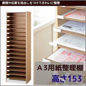 Ａ3用紙整理棚 【高さ１５３】　 | 
