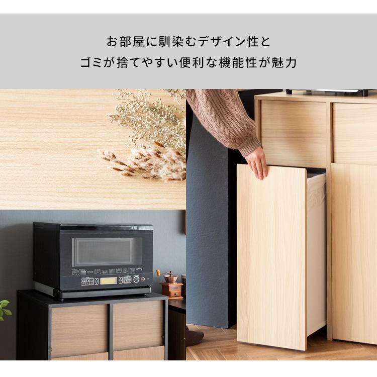 キャスター分別ダストボックス Helios（ヘリオス） DB-F2100