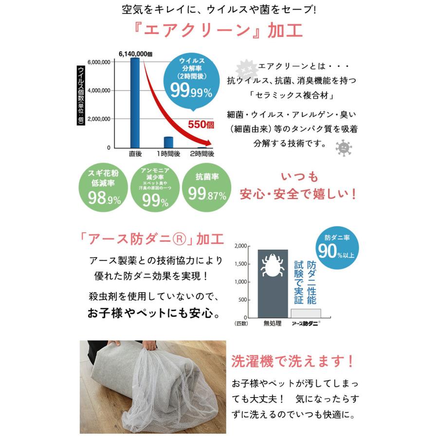 防ダニ・抗菌・消臭・ウィルス花粉対策に国産高機能ラグ■ポッシュ ドット■【１３０×１９０】 |  | 04