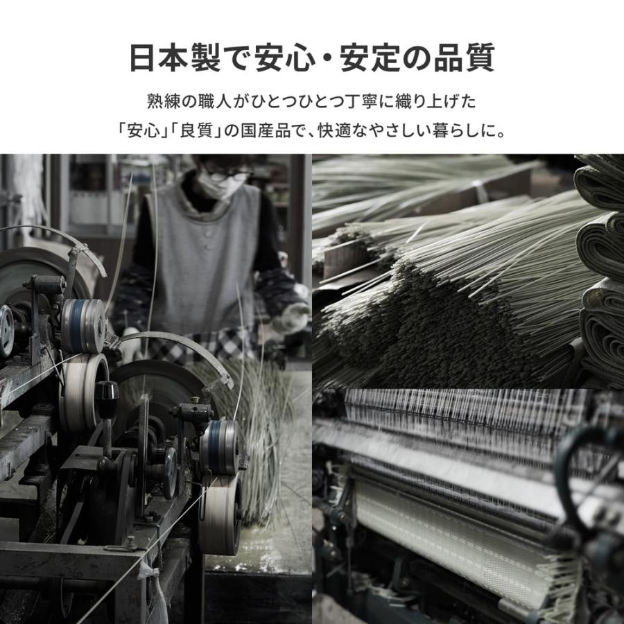 日本製 洗える い草風 カーペット 江戸間 6帖 (約261x352cm ） PP 