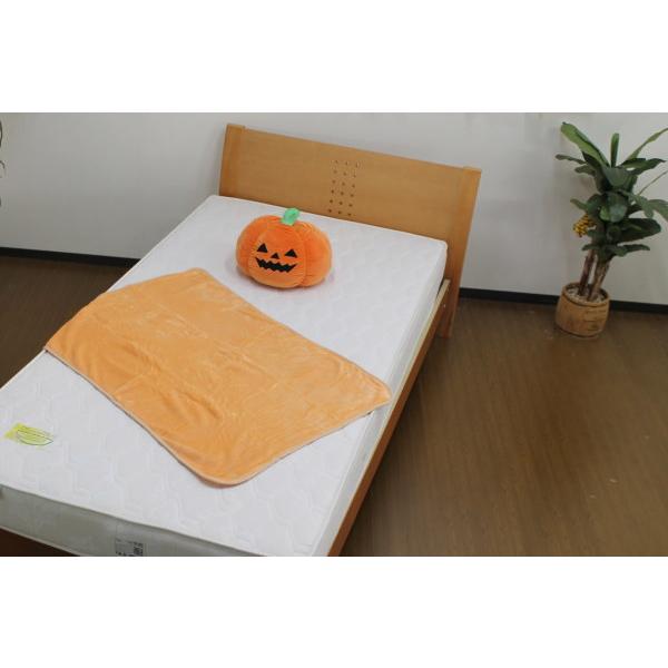 天谷奴零ハロウィンクッション 約42cm Halloween Burrow™ Witch's Brew | ZippyPaws