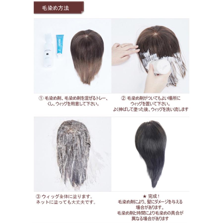 予約販売品 総手植え 医療用ウィッグ 部分ウィッグ 自然人毛100 1210 50 Off Zoetalentsolutions Com