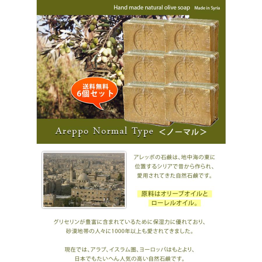 アレッポの石鹸 ノーマル 標準重量200g ×6個セット : インター