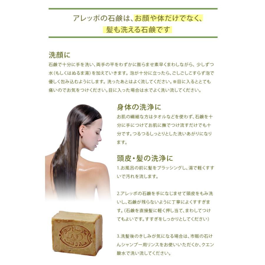 アレッポの石鹸 ノーマル 標準重量200g ×6個セット : インター