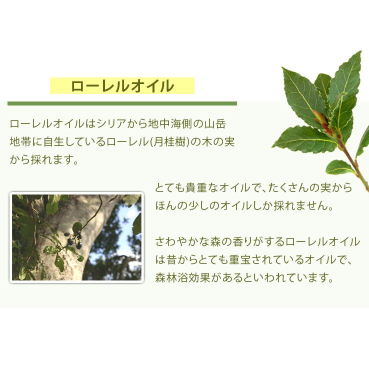 石鹸 アレッポの石鹸　エキストラ40 標準重量180g　×7個セット | アレッポ | 05