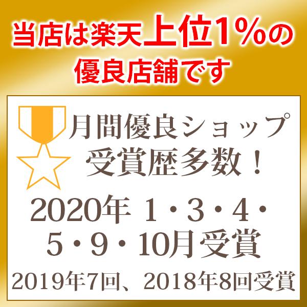 エクスイディアル専用収納ケース　EX-280C※メーカー直送のため、代金引換以外のお支払方法をお選びください。 |  | 02