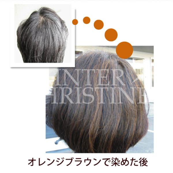 GREENNOTE ヘナ オレンジブラウン　100g×6個セット グリーンノートヘナ オレンジブラウン 100g ×3箱セット : インター