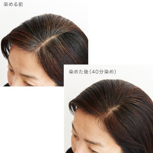 ヘナ 白髪染め ナイアード ヘナ+木藍 茶系 徳用400g/もくらん/モクラン/インディゴ/naiad/ :naiad-hmr400:インタークリスティーヌ - 通販 - Yahoo!ショッピング ヘナ 白髪染め ナイアード ヘナ+木藍 茶系 徳用400g/もくらん/モクラン/インディゴ/naiad/ :naiad-hmr400:インタークリスティーヌ - 通販 - Yahoo!ショッピング