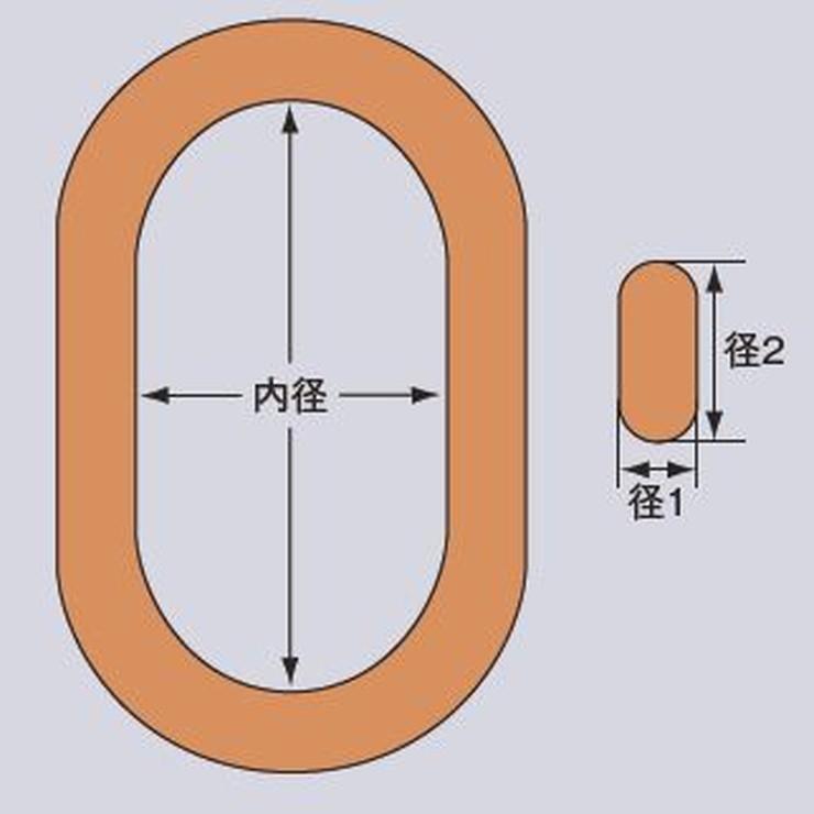 大洋製器工業 アロイメインリンク1t (1245704) 楕円形 吊り金具