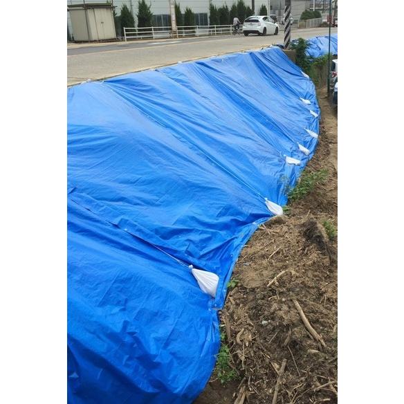 ブルーシート #3000 5.4m x 7.2m （5枚） 厚手 防水 シート 防水