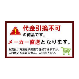 ハート融雪マット 玄関用S M15008GB 厚20mm×幅500mm×長800mm 融雪 マット 階段 階段マット 融雪マット 融雪 マット 階段 爆買_7