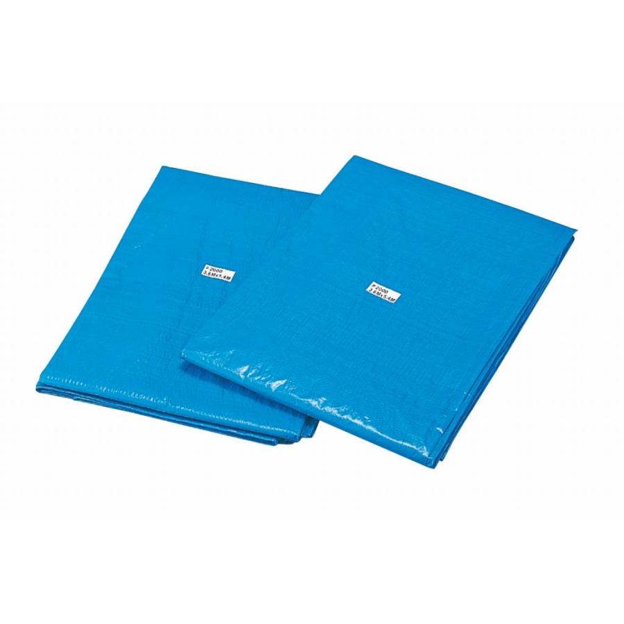 ブルーシート #3000 10M×10M （2枚セット）（送料無料） 大型 大きい
