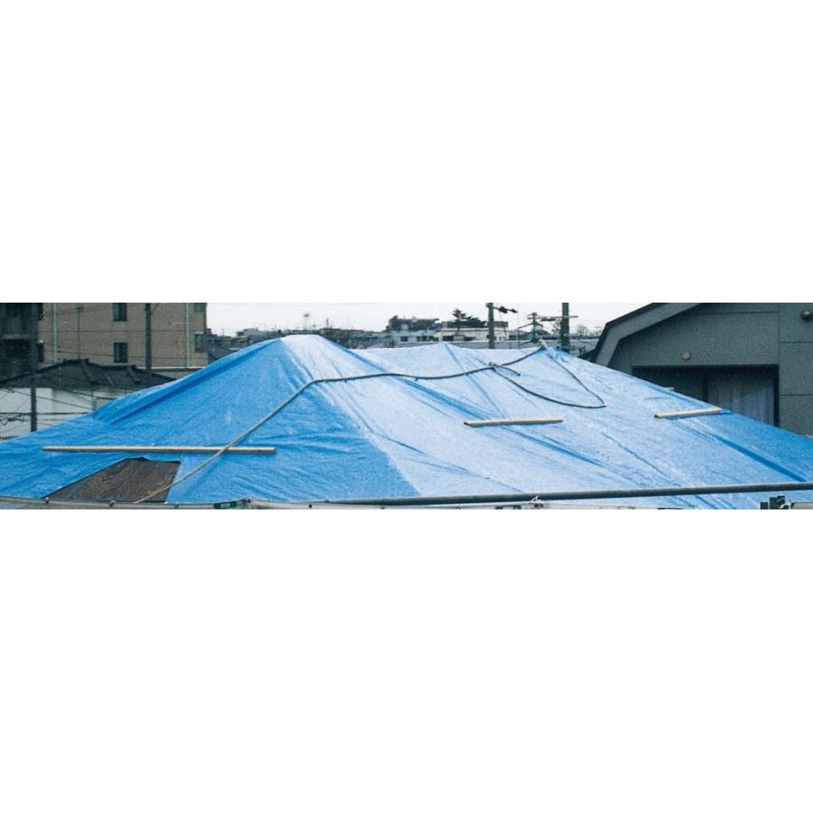 ブルーシート #3000 10M×10M （2枚セット）（送料無料） 大型 大きい