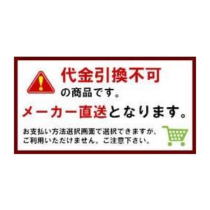 レボリューションコーン RS70045 赤 8本セット （トラフィックコーン）駐車場 カラーコーン (法人・個人事業主様限定・代引不可)｜inter-shop｜02