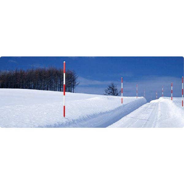 ユニット スノーポール (2000mm) 10本1組 剣先有 wt-1081 (法人・個人