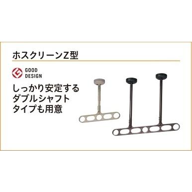 【新品 未使用 日本製】 川口技研 ホスクリーン 軒天タイプ ライトブロンズ 2本セット z-215-lb 物干し 屋外 ベランダ 取り付け 洗濯物干し 【E2442732021】(12540円)