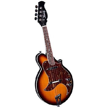 並行輸入品】 Kentucky KM-300e 4-弦 エレクトリックマンドリン- サン