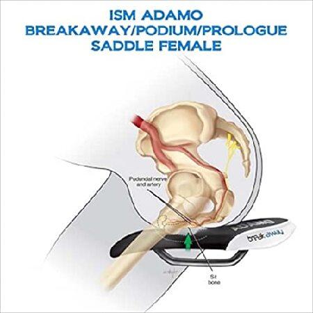 並行輸入品】 ISM PL1.1 Selle Noir : インタートレーディング - 通販