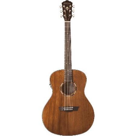 並行輸入品】 Washburn Woodline 10 Series 6 String Acoustic