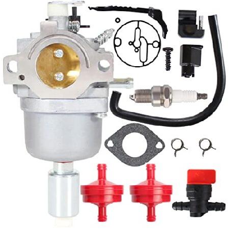 並行輸入品】 Pro Chaser 697203 キャブレターはNikki 799256 697216