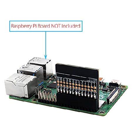 GeeekPi Raspberry Pi TPM2.0 モジュール TPM9670 Infineon Optiga SLB 9670 TPM ...