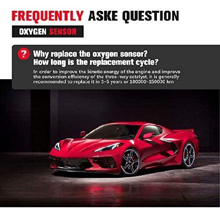 かまろページ 希少 ライブディオZX SHIMON製ユーロテールレンズ 希少 ライブディオZX