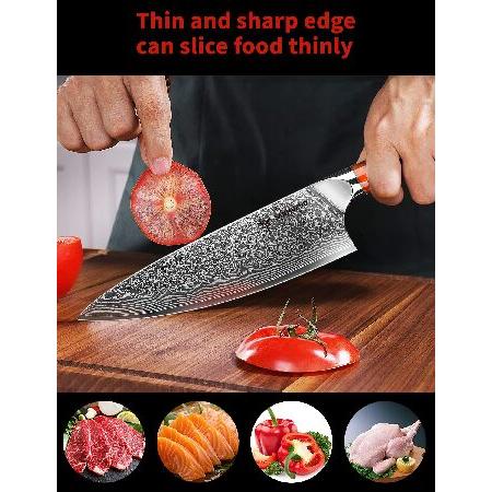 SANMUZUO Chef Knife - 8 inch - Xuan Series - VG10 Damascus Steel