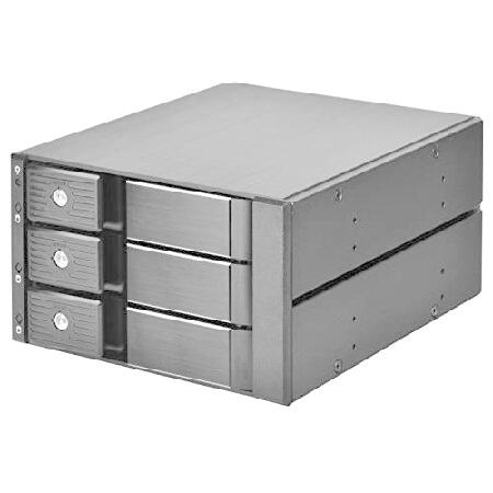 【並行輸入品】 SilverStone FS303-12G 2つの5.25インチベイから3つの3.5インチSAS-12G / SATA ...